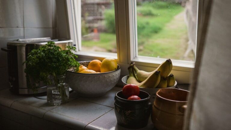 Countertop Food Scrap Freezing