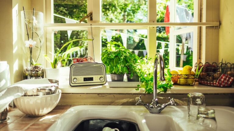 regrowing kitchen vegetables scraps water