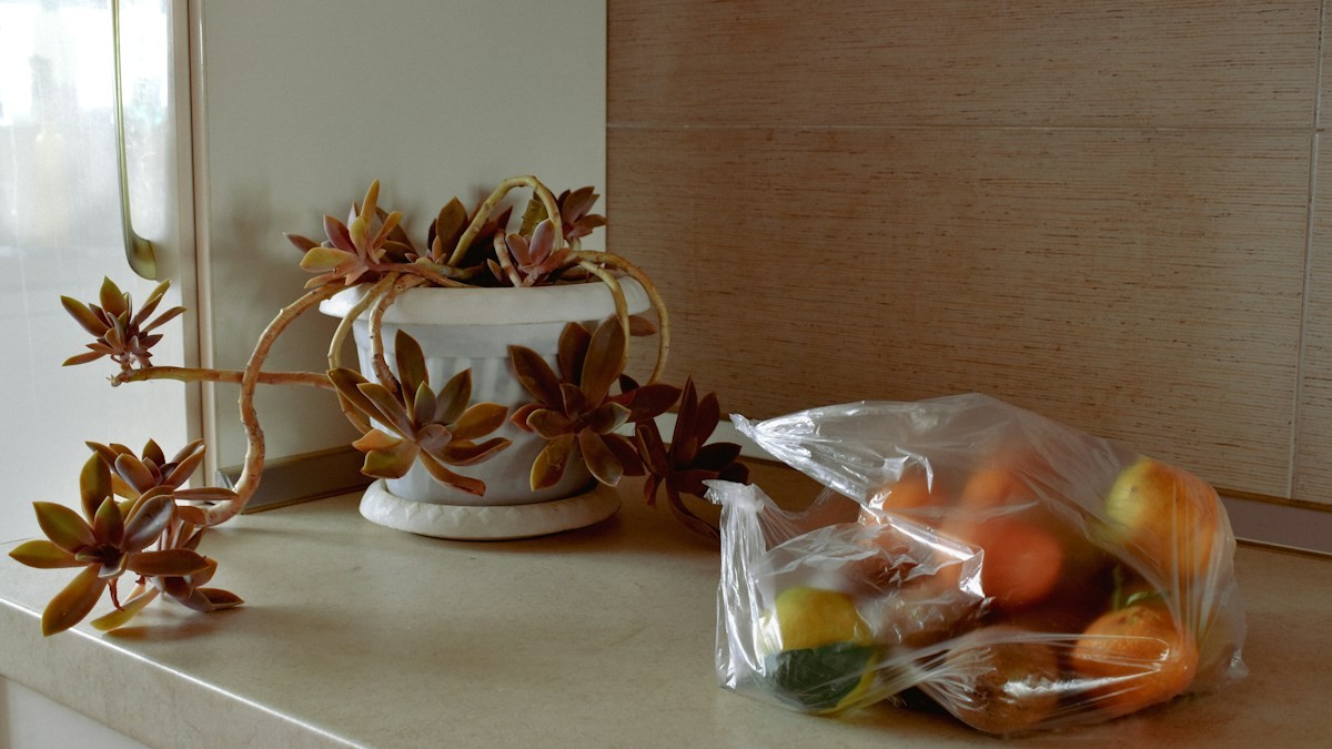 Countertop Food Scrap Freezing - Detailed step-by-step practical implementation overview
